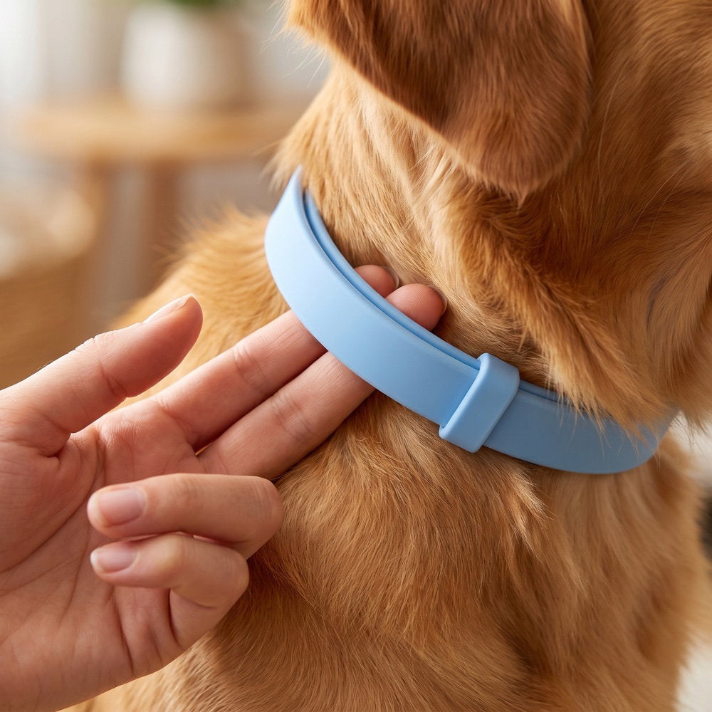 Two fingers slipped under a correctly fitted collar against the dog’s skin