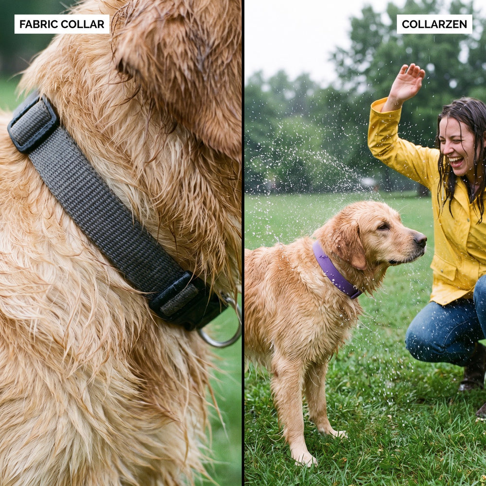 Left: a soaked, sagging fabric collar. Right: water beading off a purple CollarZen as the dog shakes beside his laughing owner.