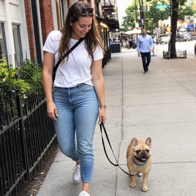Emily R. walking Cooper, her French Bulldog in a blue CollarZen collar