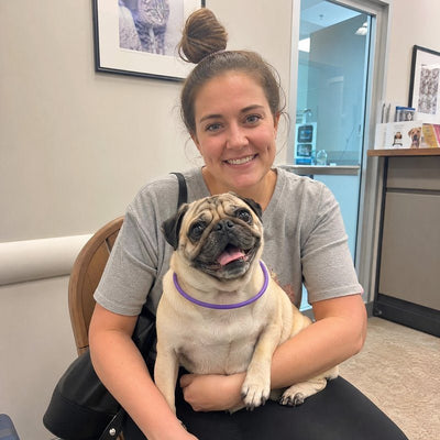Mia J. from Boston, MA with their dog wearing a CollarZen collar