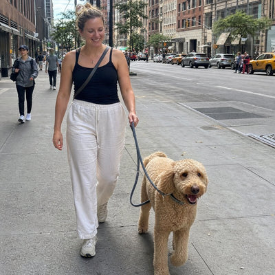 Olivia P. from New York, NY with their dog wearing a CollarZen collar