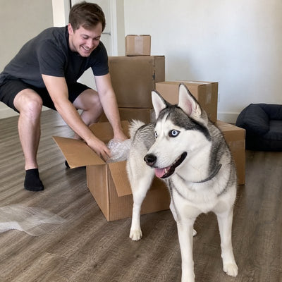 Liam D. from Minneapolis, MN with their dog wearing a CollarZen collar