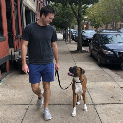 William F. from Philadelphia, PA with their dog wearing a CollarZen collar