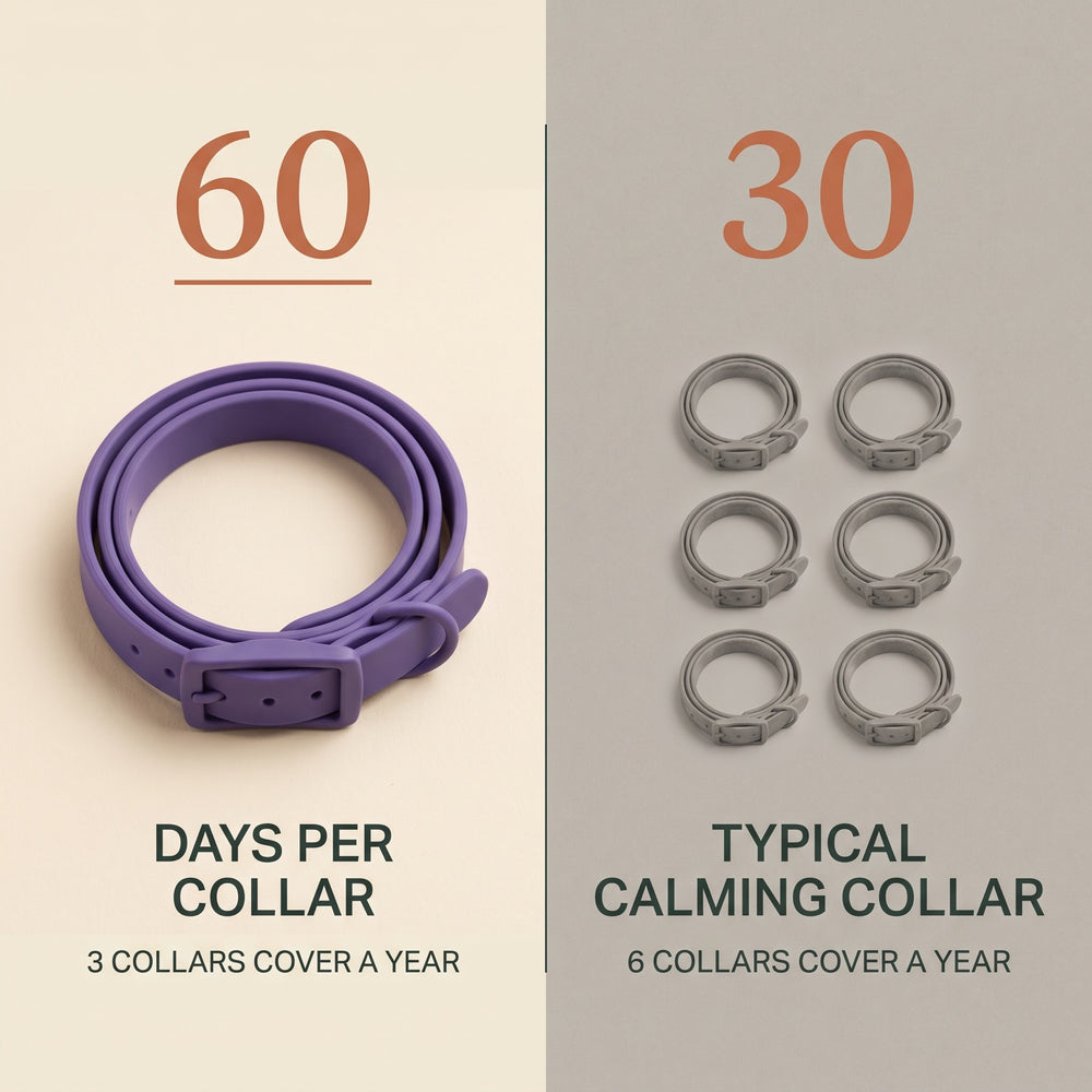 One CollarZen collar covers 60 days; six typical calming collars are needed to cover the same year.