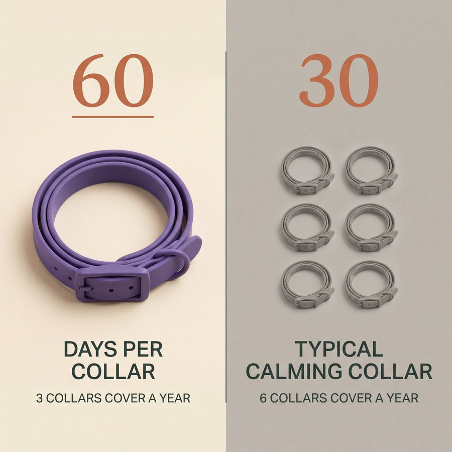 One CollarZen collar lasting 60 days next to six typical collars covering the same year