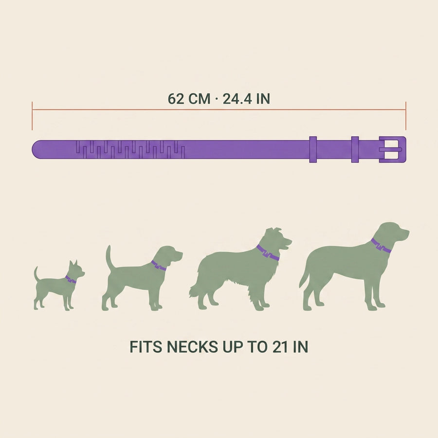 Collar dimension diagram: 62 cm adjustable strap with four dog sizes
